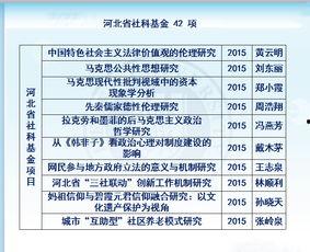 理论国产一级,引领科技创新，铸就民族品牌辉煌